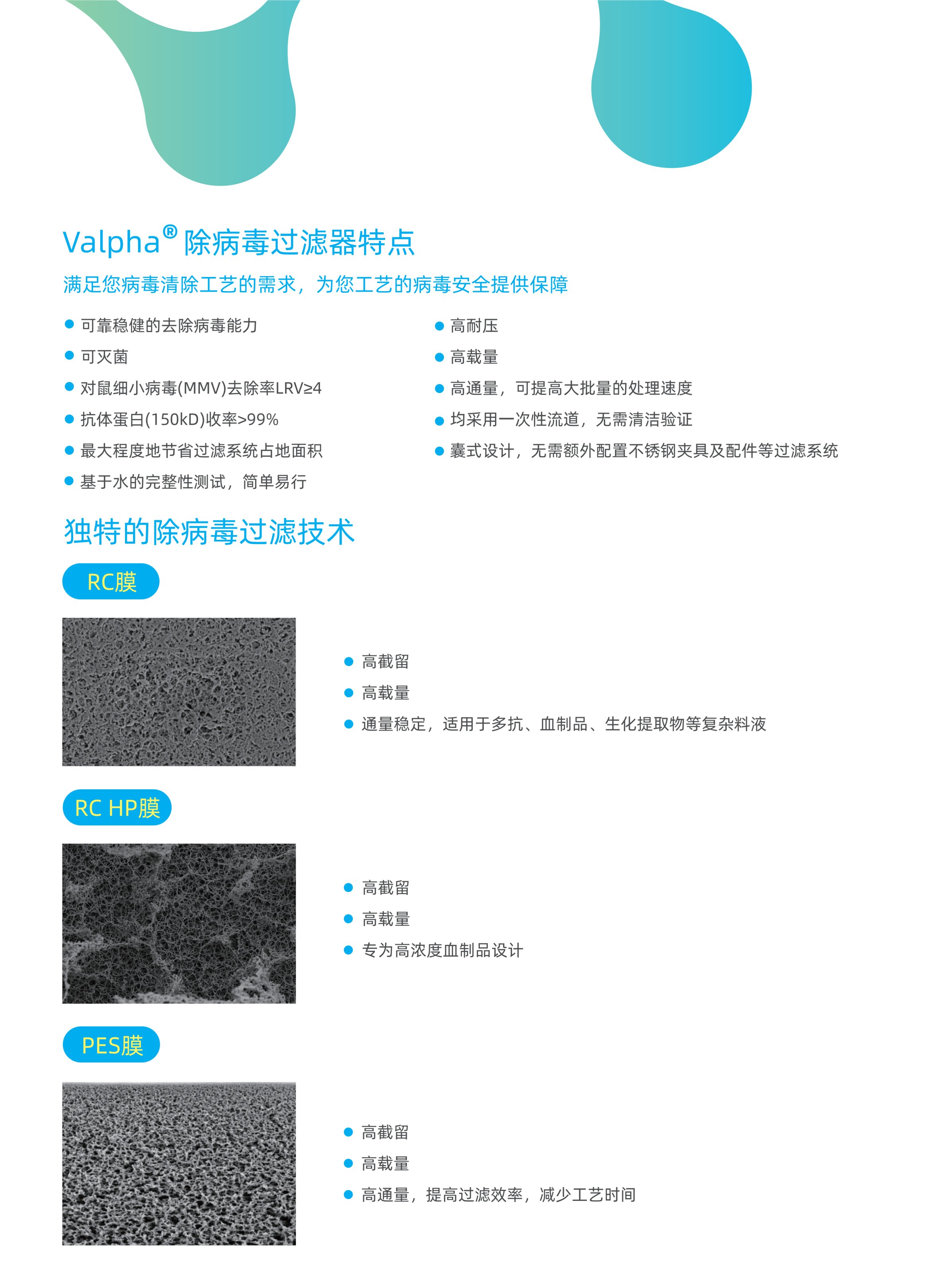 Valpha除病毒過(guò)濾器-DS20240105V001新版_01(1)(2).png